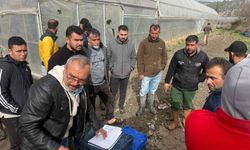 Seydikemer'de hortumun vurduğu seralarda hasar tespit çalışmaları başladı