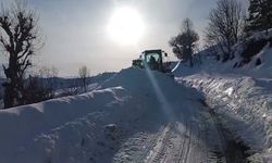 Siirt'te karla kaplı yollar açıldı