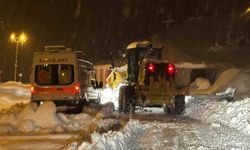 Siirt'te yolda mahsur kalan ambulans 3 saat sonra kurtarıldı