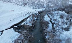 Şırnak'ta dereler buz tuttu