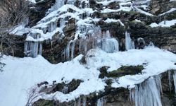 Şırnak'ta etkili olan karla 'Kanlıdere' beyaza büründü