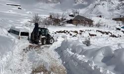 Şırnak'ta karla mücadele çalışmaları devam ediyor