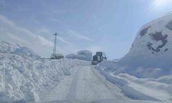 Şırnak'ta karlı yollar tek tek açılıyor