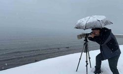 Tatvan'a kış ortasında kuş akını
