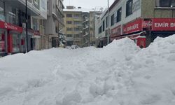 Tatvan'da gök gürültülü kar yağışı