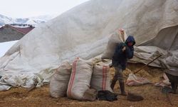 Tatvan'da yayladan besiye dönüş