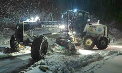 Trabzon'da karla mücadele ekipleri iş başında