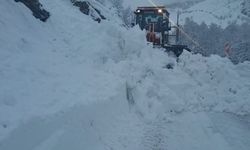 Tunceli-Ovacık yolunda çığ: Ulaşım kısa sürede yeniden sağlandı