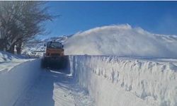 Tunceli'de Yüzlerce köy yolu ulaşıma açıldı, 43'ünde çalışmalar sürüyor