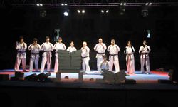 Türkiye Kyokushin Stil Karate Şampiyonası Karabük'te başladı