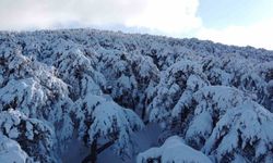 Türkiye'nin ilk Milli Parkı Çamlık'ta kar manzarası havadan görüntülendi