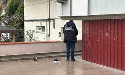 Uşak'ta çatıdan düşen adam hayatını kaybetti