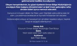 Vali Taşolar'dan tebrikler için anlamlı çağrı: 'Çiçek yerine fidan bağışı'