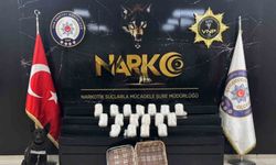 Van'da 22 kilo 540 gram metamfetamin ele geçirildi