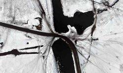 Yazın safari kışın buz pisti