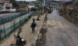 Yenipazar'da belediye ekipleri sahaya indi