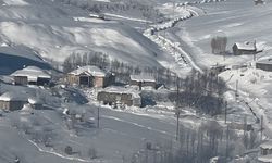 Yüksekova'da çiftçilere 'kurt saldırısı' uyarısı