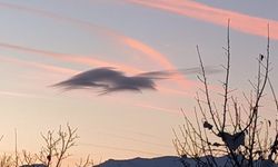 Yüksekova'da gökyüzünde doğa şöleni: Bir bulut onlarca silüet