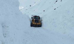 Yüksekova'da mezra yoluna düşen çığ temizlendi