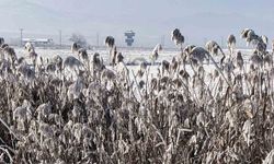 Yüzeyi buz tutan Kaz gölü kış manzarası ile mest etti