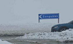 Zonguldak'ta kar etkili oldu