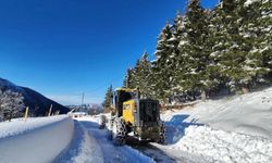 Rize’de bir ilçede kar tatili kararı