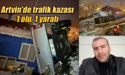 Artvin'de trafik kazası: 1 ölü, 1 yaralı
