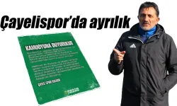 Çayelispor'da bir ayrılık daha!