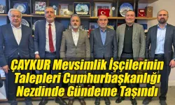 ÇAYKUR Mevsimlik İşçilerinin Talepleri Cumhurbaşkanlığı Gündeminde