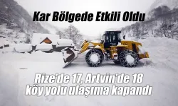 Rize’de 17, Artvin’de 18 Köy Yolu Kar Nedeniyle Kapalı