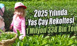 2025 Yılında Yaş Çay Rekoltesi 1 Milyon 338 Bin Ton