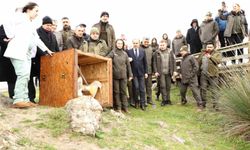 81 binden fazla göçmen kuş halkalandı