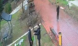 Adana'da parktaki kuş yuvasını parçaladılar