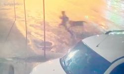 Adıyaman'da sahipsiz köpek dehşeti: 10 yaşındaki çocuğu vatandaşlar kurtardı