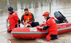 AFAD mahsur kalan hayvanları tahliye ediyor