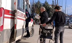 Ağaç budarken bileğini kesti