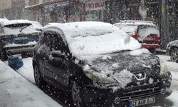 Ahlat'ta kar yağışı