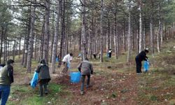 Akşehir'de orman yangınlarına karşı örnek çalışma