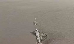 Alaçatı Kutlu Aktaş Barajı'nda su seviyesi yükseliyor