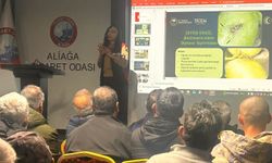 Aliağa'da tarımsal eğitimler aralıksız sürüyor