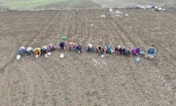 Annenin fedakarlık dolu yolculuğu: Çocukları için megakenti bırakıp toprağa sarıldı