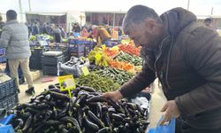 Antalya'daki olumsuz hava şartları patlıcanın tadını kaçırdı