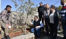 Antep fıstığı ve zeytin üreticilerine budama eğitimi