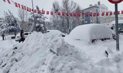 Ardahan'da 132 köy yolu ulaşıma kapandı