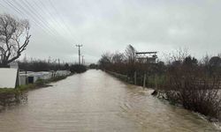 Ayvacık'ta sağanak yağış etkili oldu