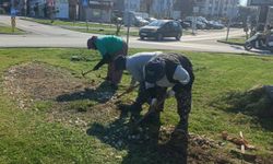 Ayvalık'ta ekipler yaz kış demeden 7/24 sahada