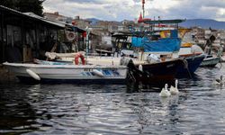 Balık sizden, mazot bizden