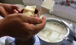 Bartın'ın meşhur manda yoğurdu Kültürel Miras listesine eklendi