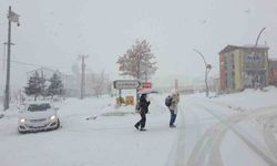 Başkale'de yoğun kar yağışı