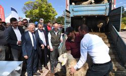 Başkan Büyükkılıç'tan tarım ve hayvancılıkta 1 yılda 119 milyon TL'lik yatırım hamlesi